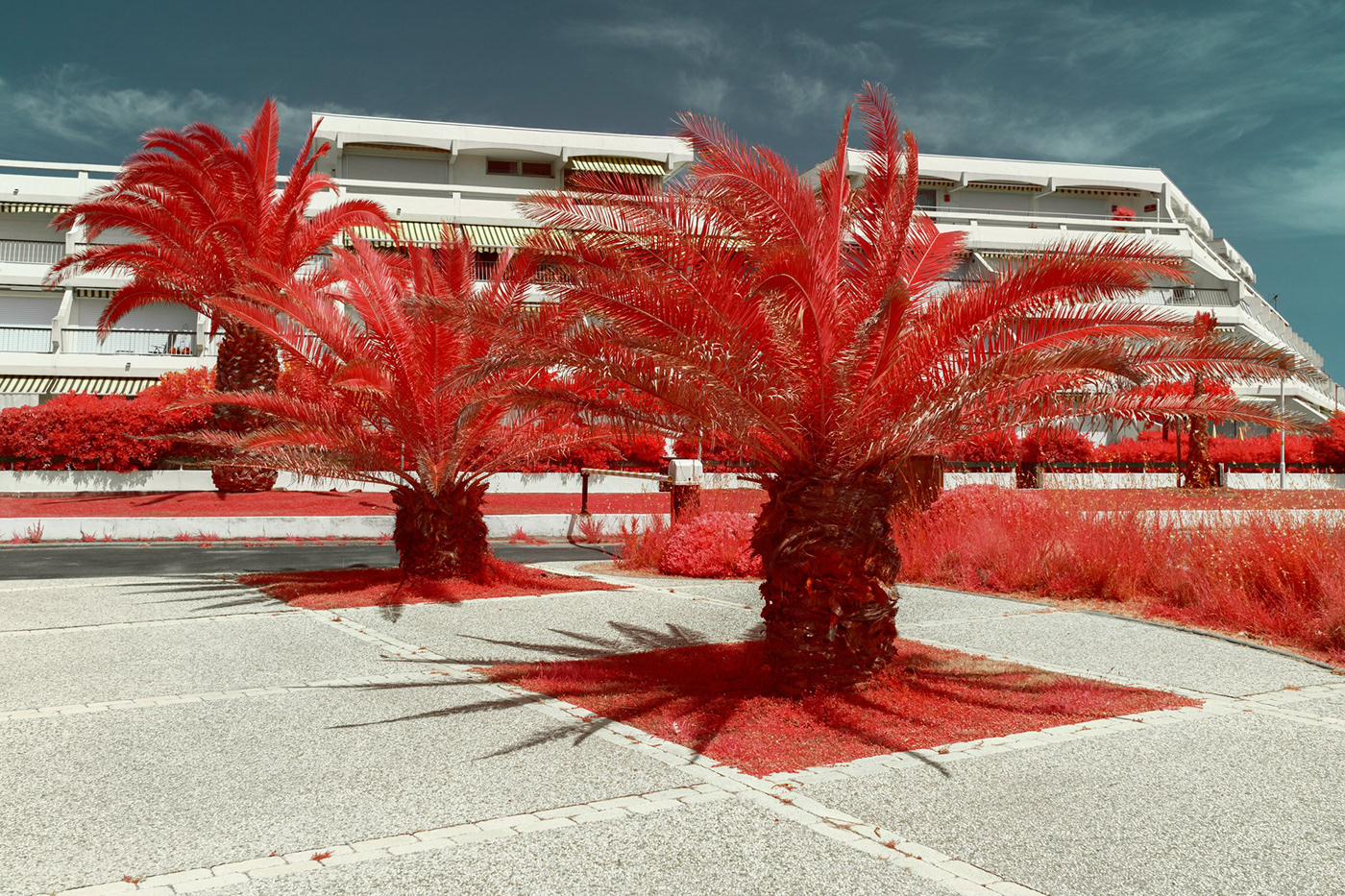 Aerochrome architecture holidays infrared infrared photography Nature Photography  reportage resort summer