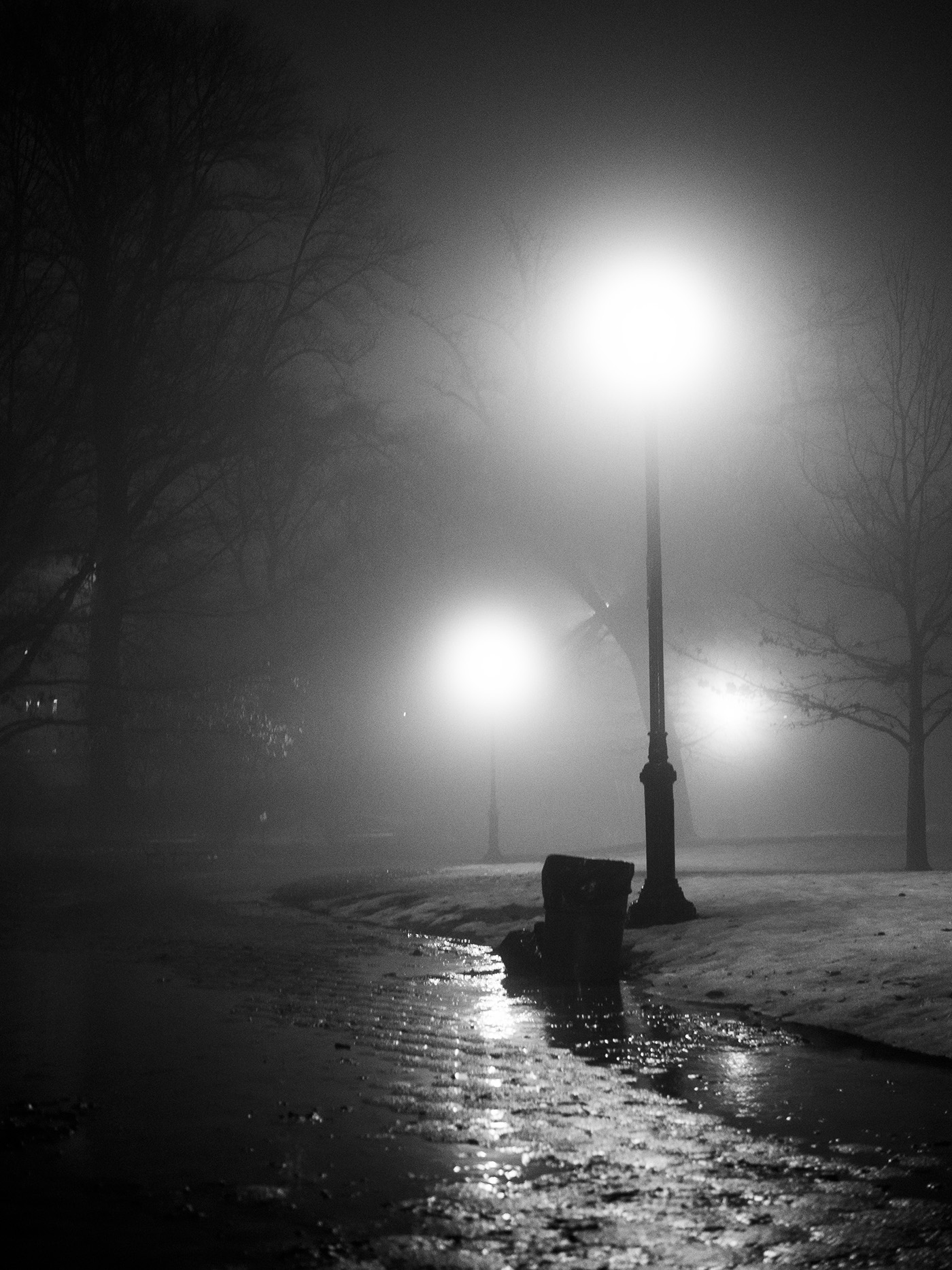 night Street new york city New York prospect park streets fog lights
