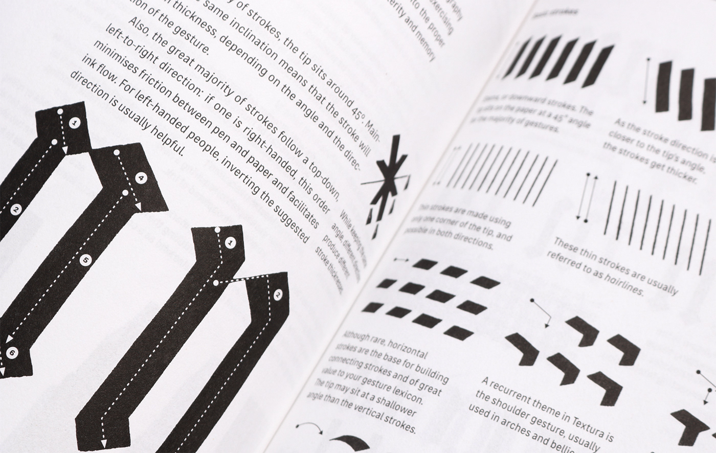 Blackletter book book design Calligraphy   book cover design textura Poster Design typography   editorial