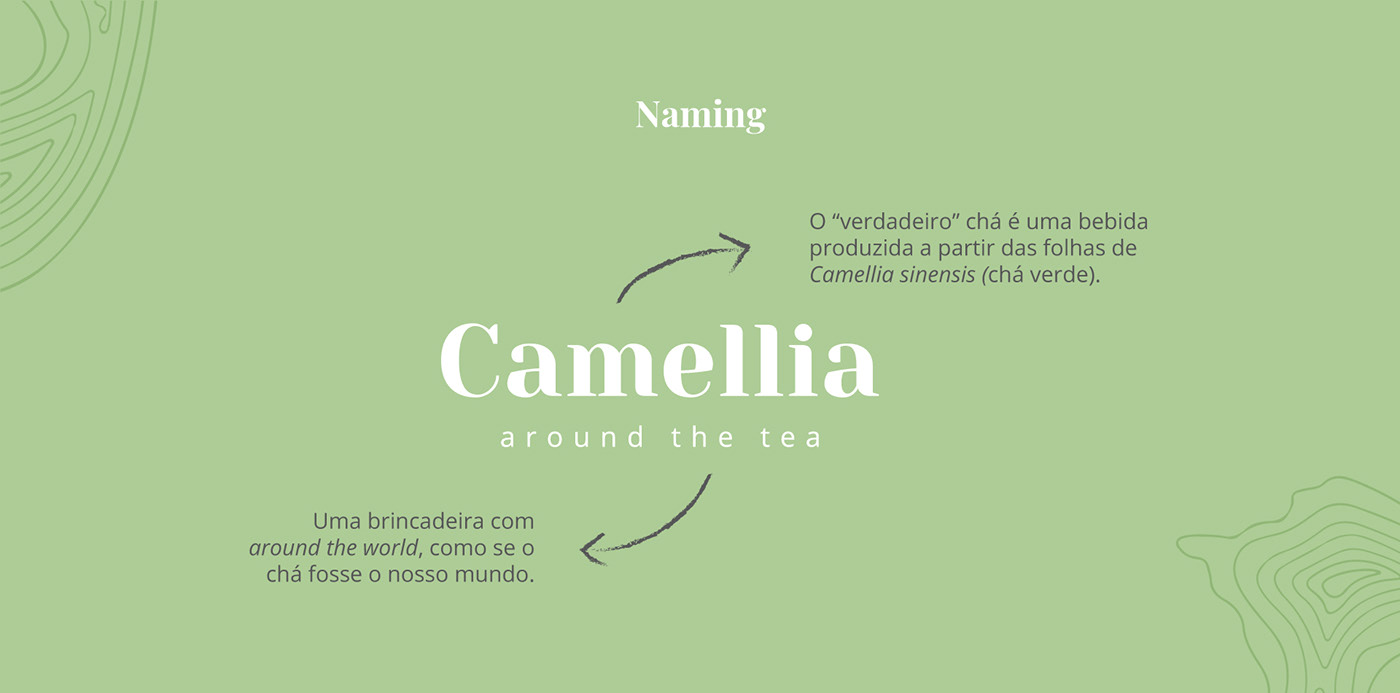 aplicativo app Camellia camellia sinensis chá tea Tea shop
