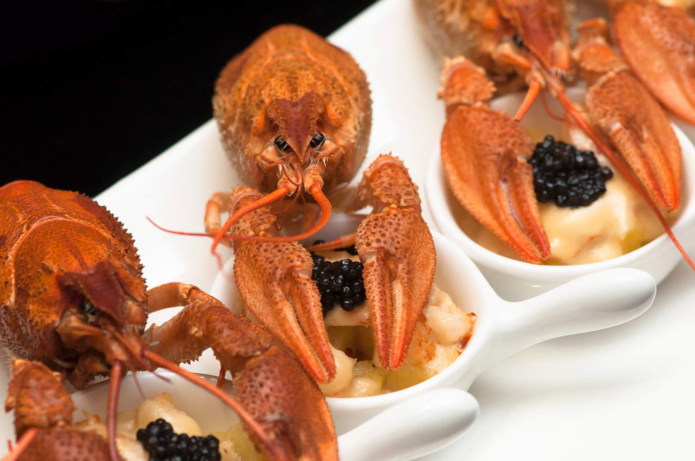 Aspic Black Caviar crayfish delicacies dinner fish soup hotel Photography  restaurant sturgeon