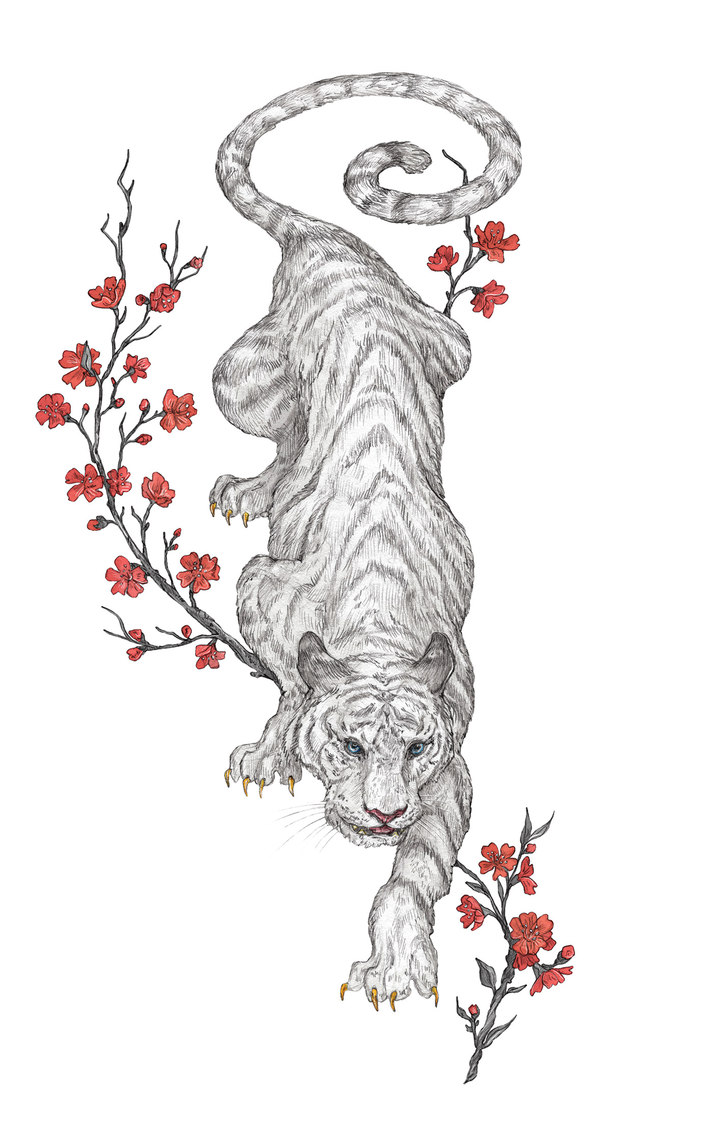 china dragon ILLUSTRATION  koi KOI FISH peony Phoenix scarf tiger tiger illustration
