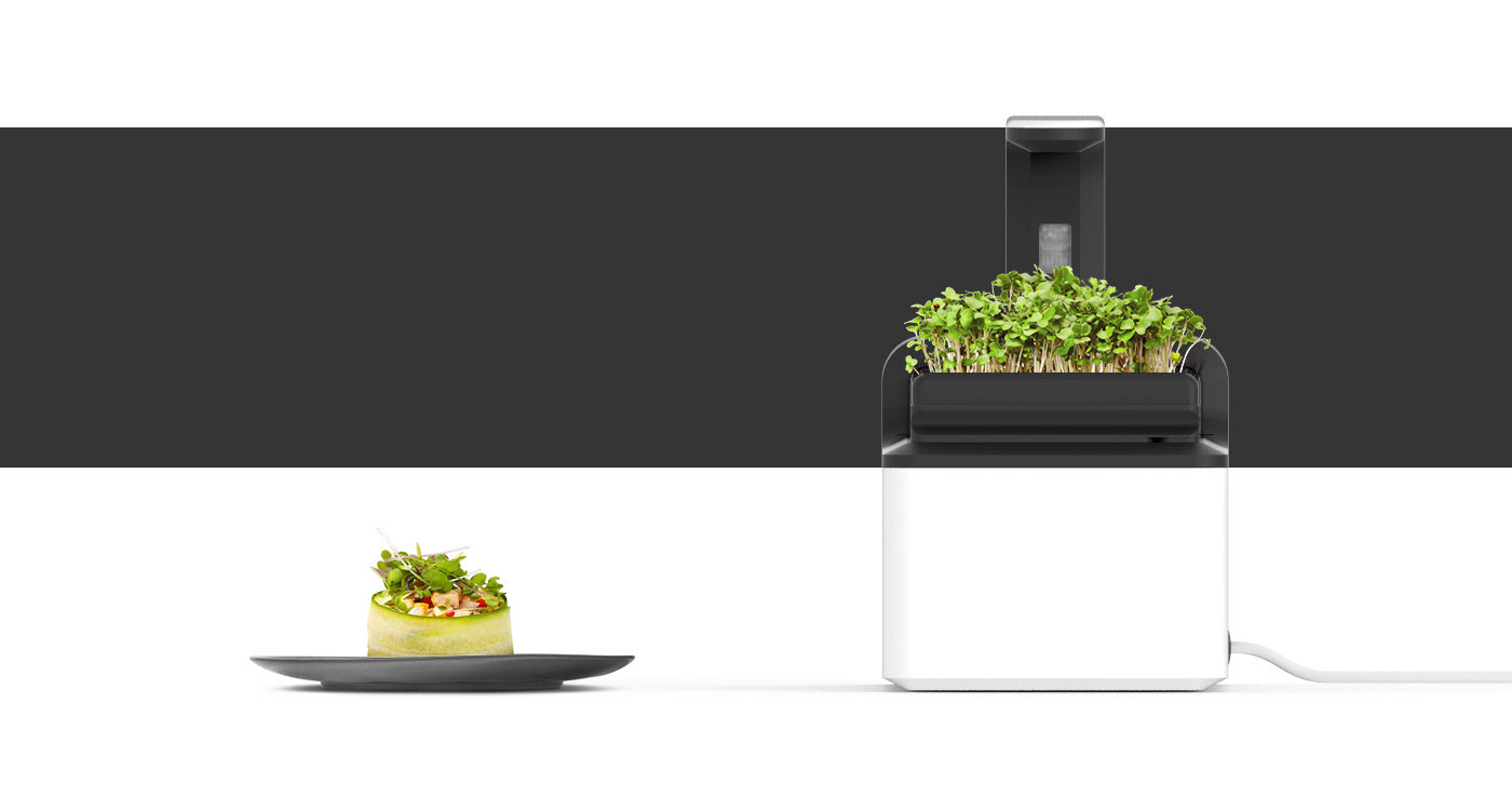 Smart gardening kitchen appliance ui ux if design award portfolio microGREEN design Render