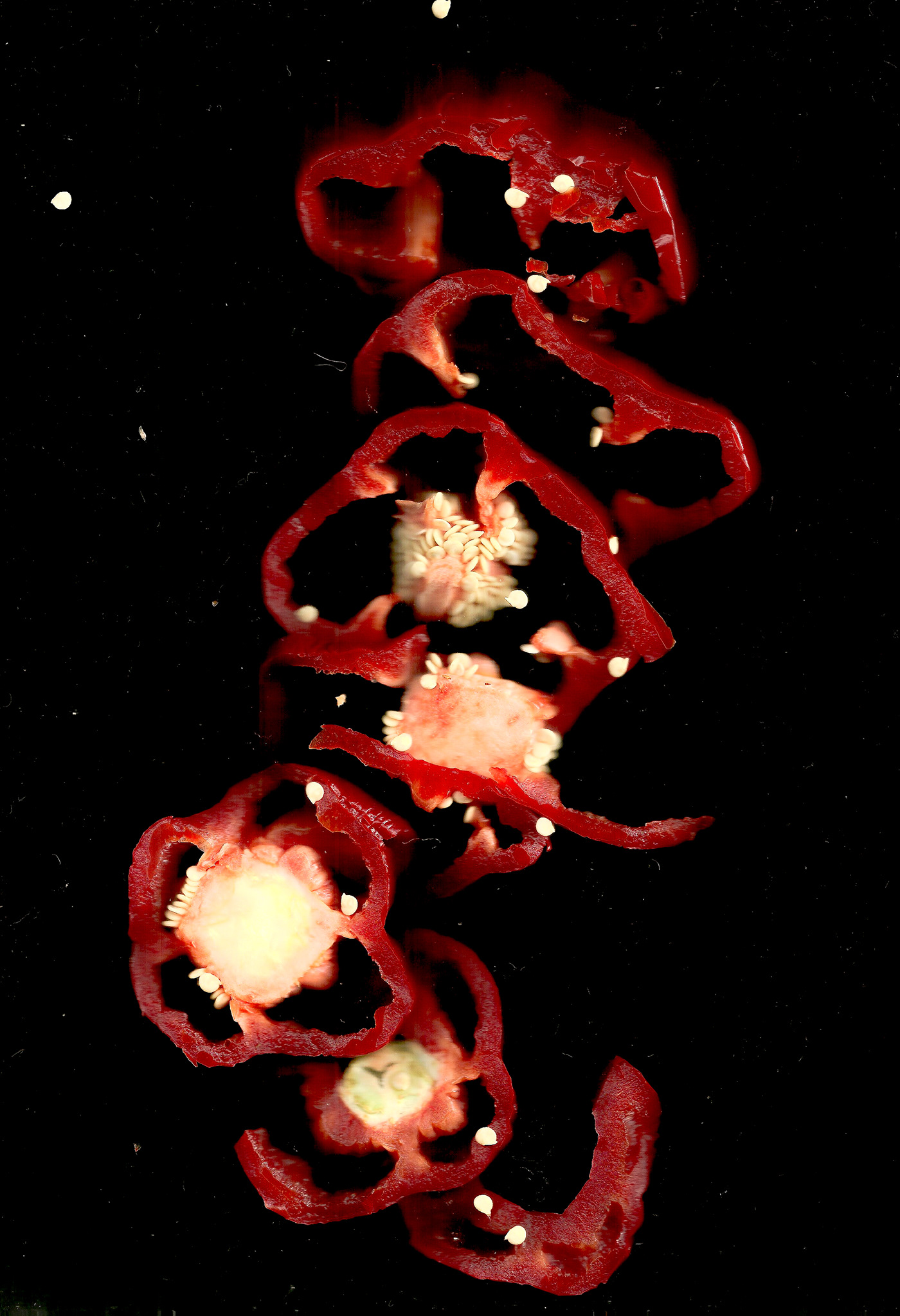 Food  foodporn photoshop scanning scanogram escanograma Photography  Fotografia comida Ligthroom