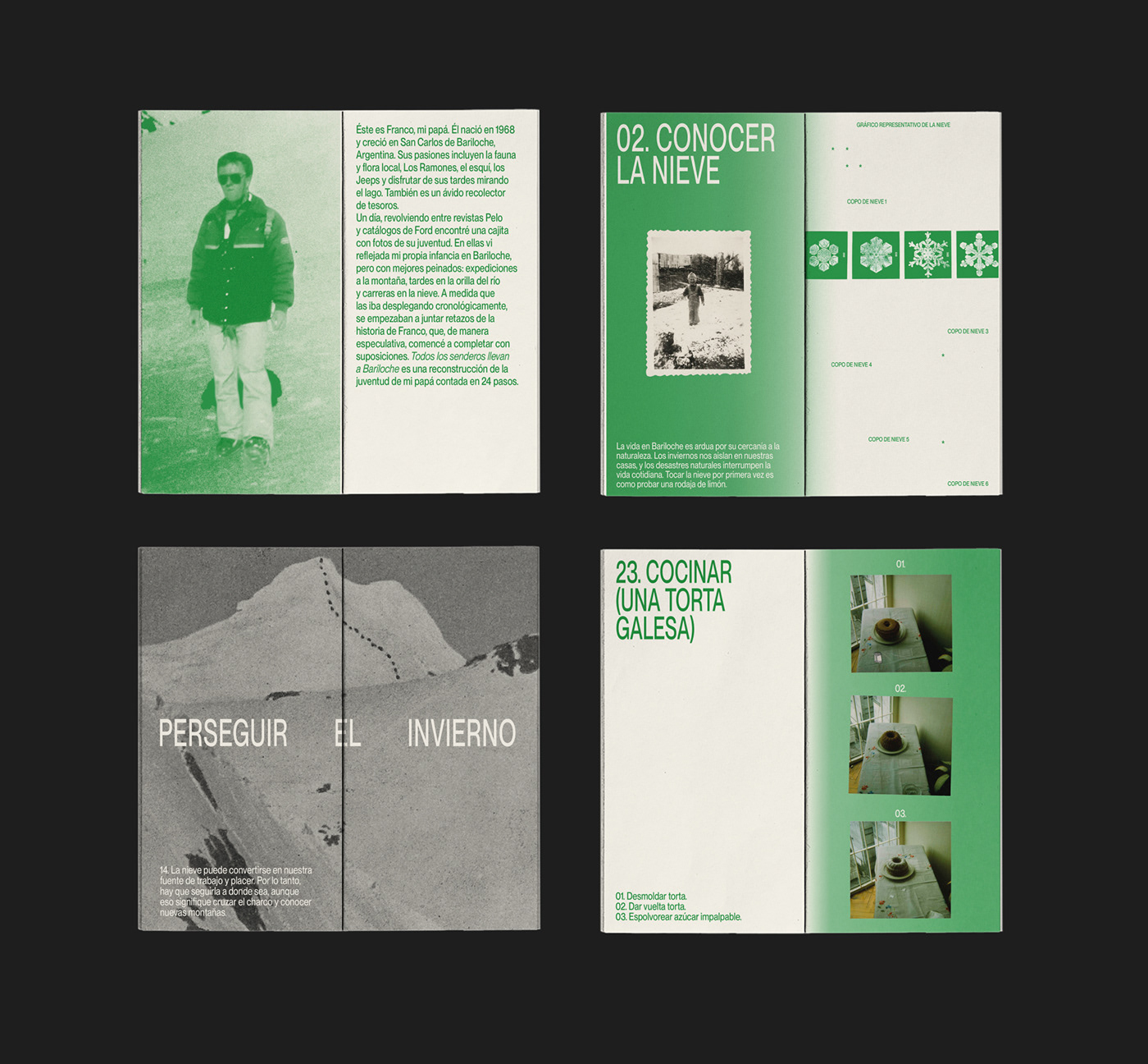 editorial design  editorial Zine  fanzine argentina book design