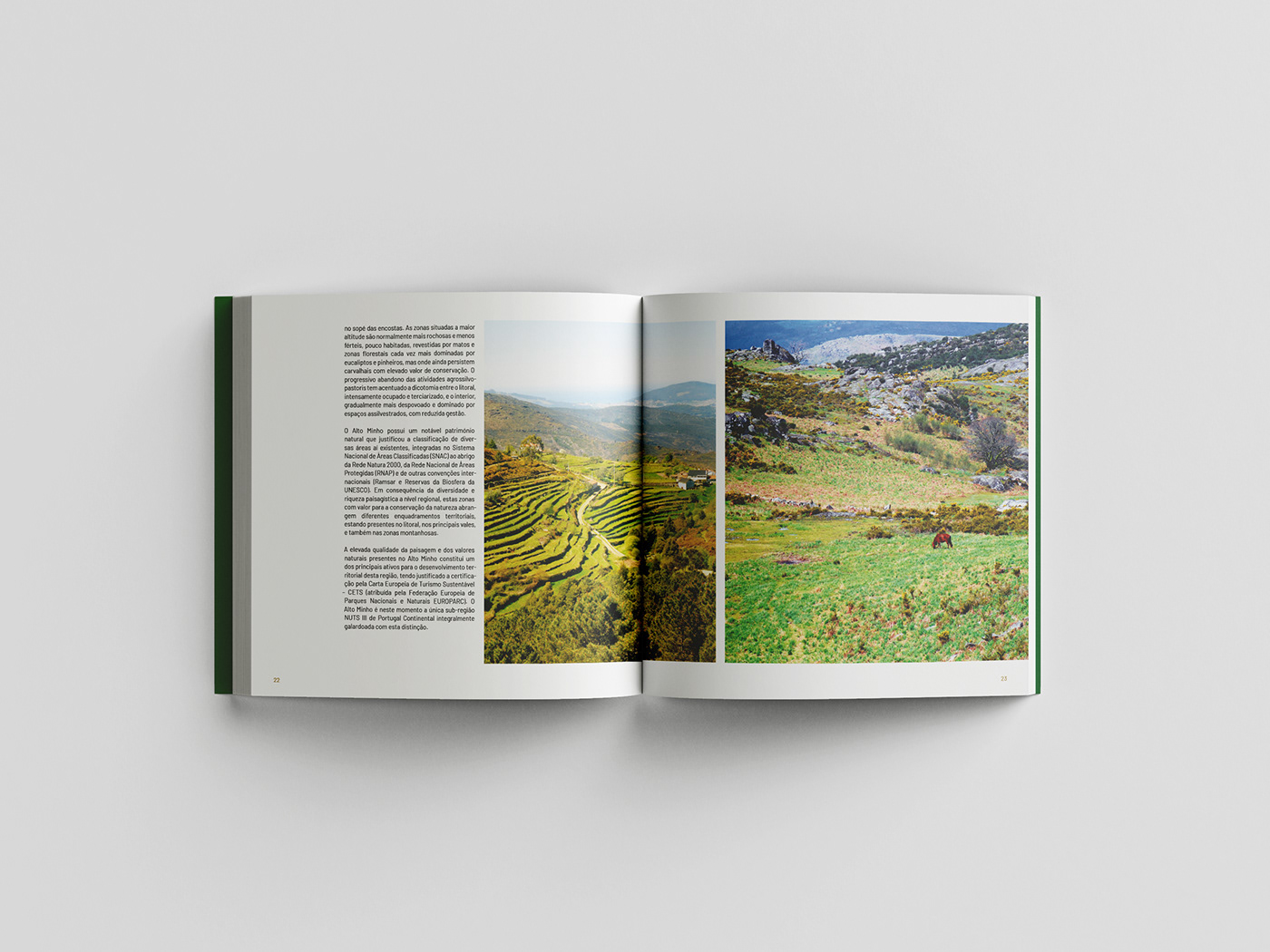 book brand design editorial editorial Event graphic design  Illustrator InDesign Nature Photography 