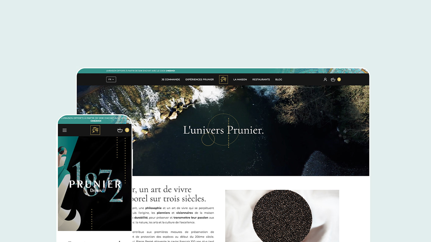 design e-commerce Figma Prestashop UI/UX Web Design  brand identity caviar Packaging sturgeon