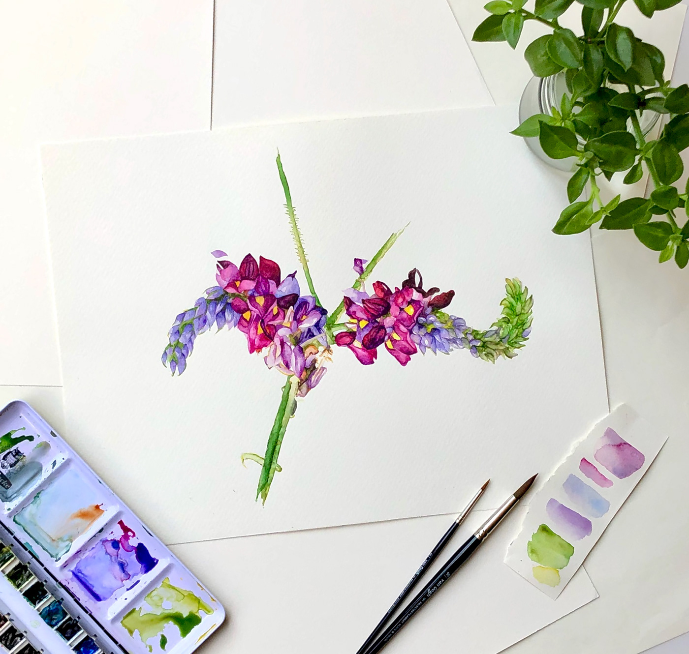 ilustracion acuarela botanica plantas Flores dibujo pintura