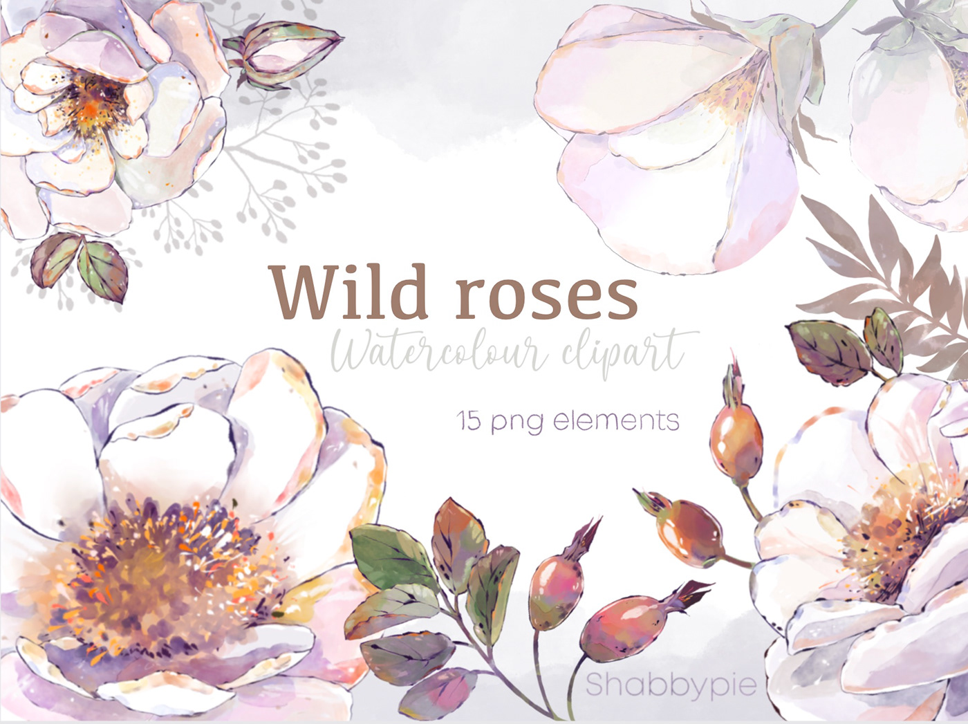 Roses Wildflowers garden clipart watercolour