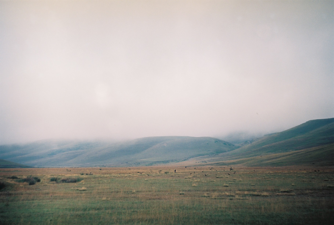 analog Photography  Film   35mm Nature Landscape fog grain