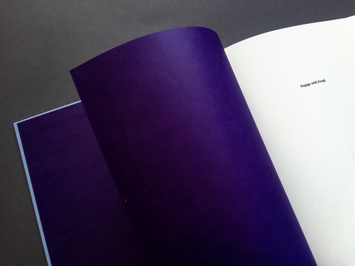 book design typography   typografie Grafikdesign print book editorial design  InDesign book cover Buchgestaltung