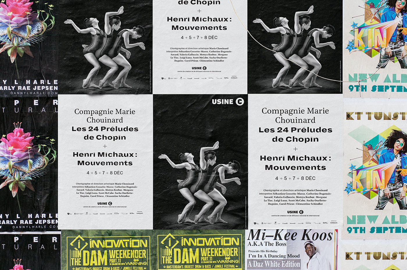 brochure season campaign Annual Campaign theater  Performance DANCE   art Montreal