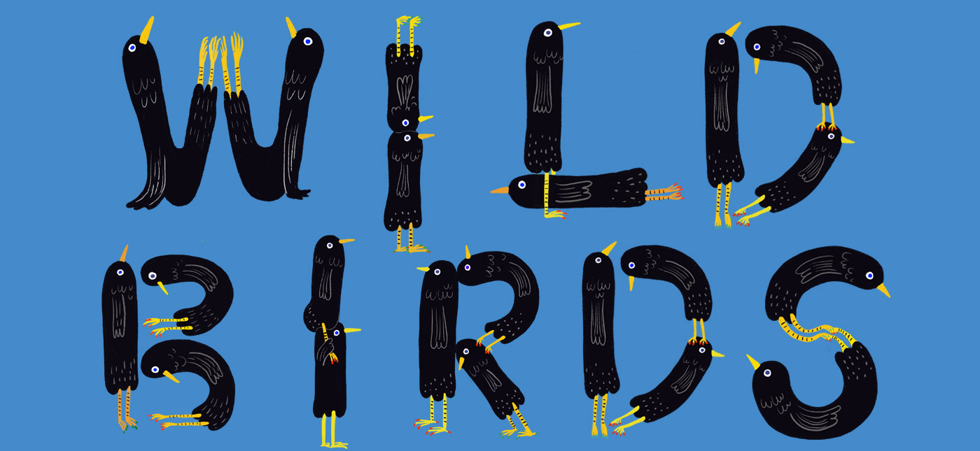 36daysoftype bird characterdesign crow Drawing  ILLUSTRATION  numbers typography   Wildbird