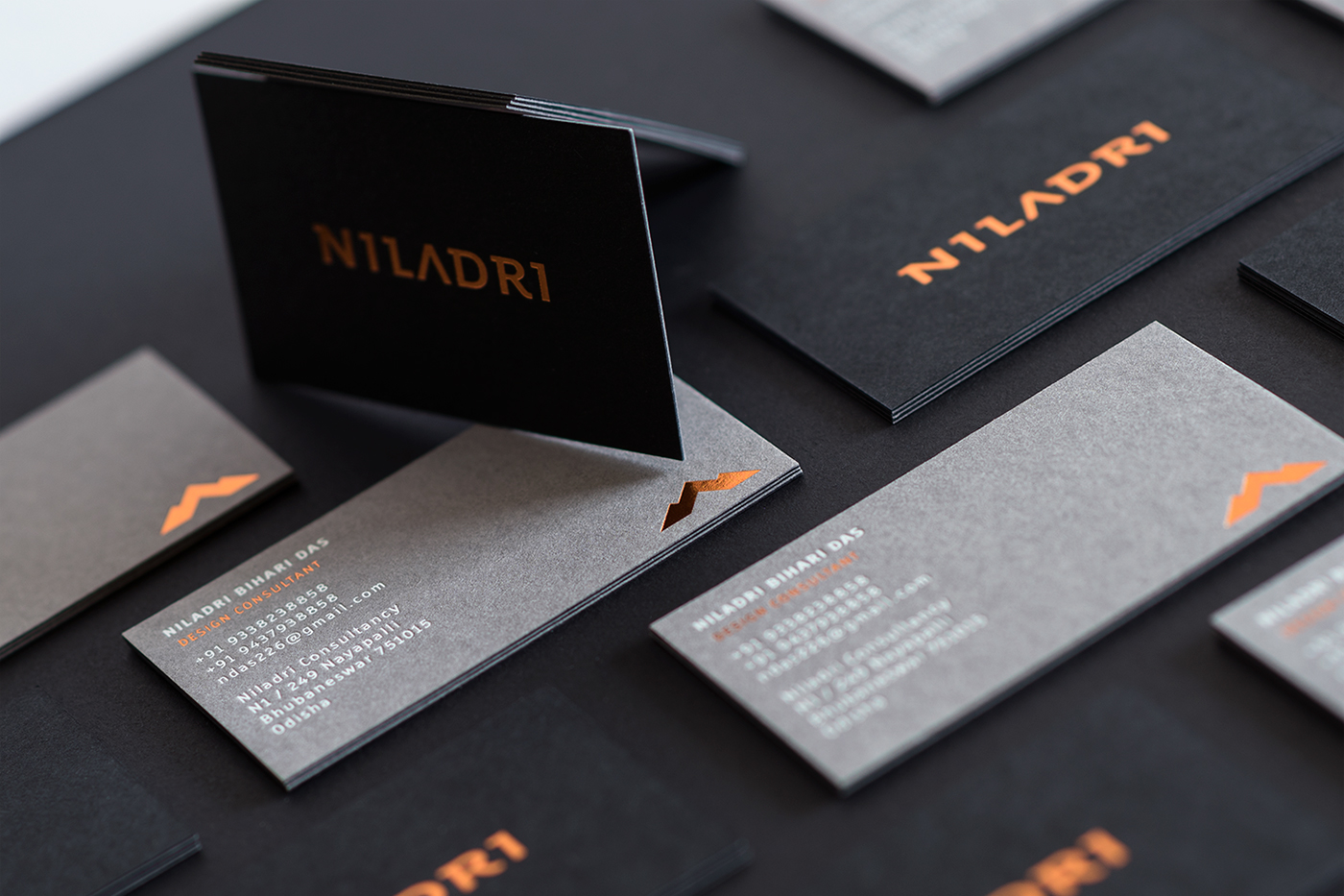 Niladri business card graphics design brand logo