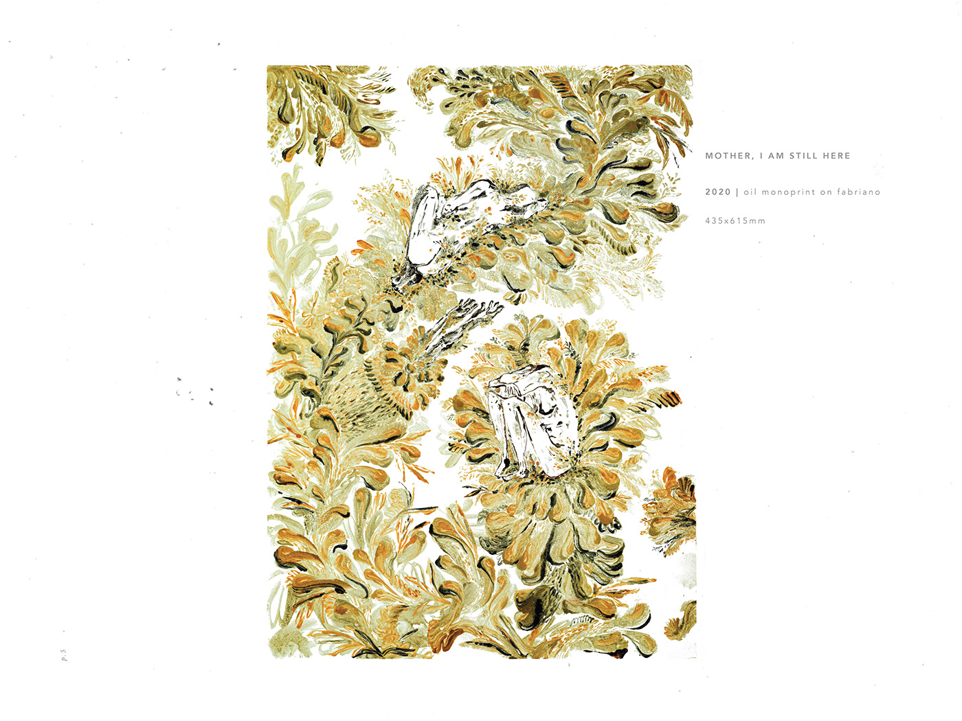 anthropocene Exhibition  fine art ILLUSTRATION  pattern design  printmaking monoprint Nature Catalogue