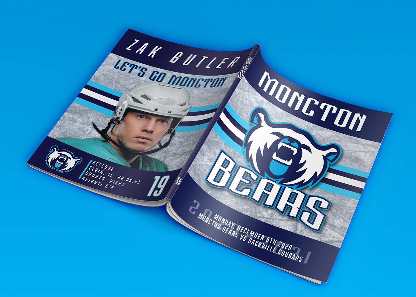 branding  graphic design  hockey Sports Team