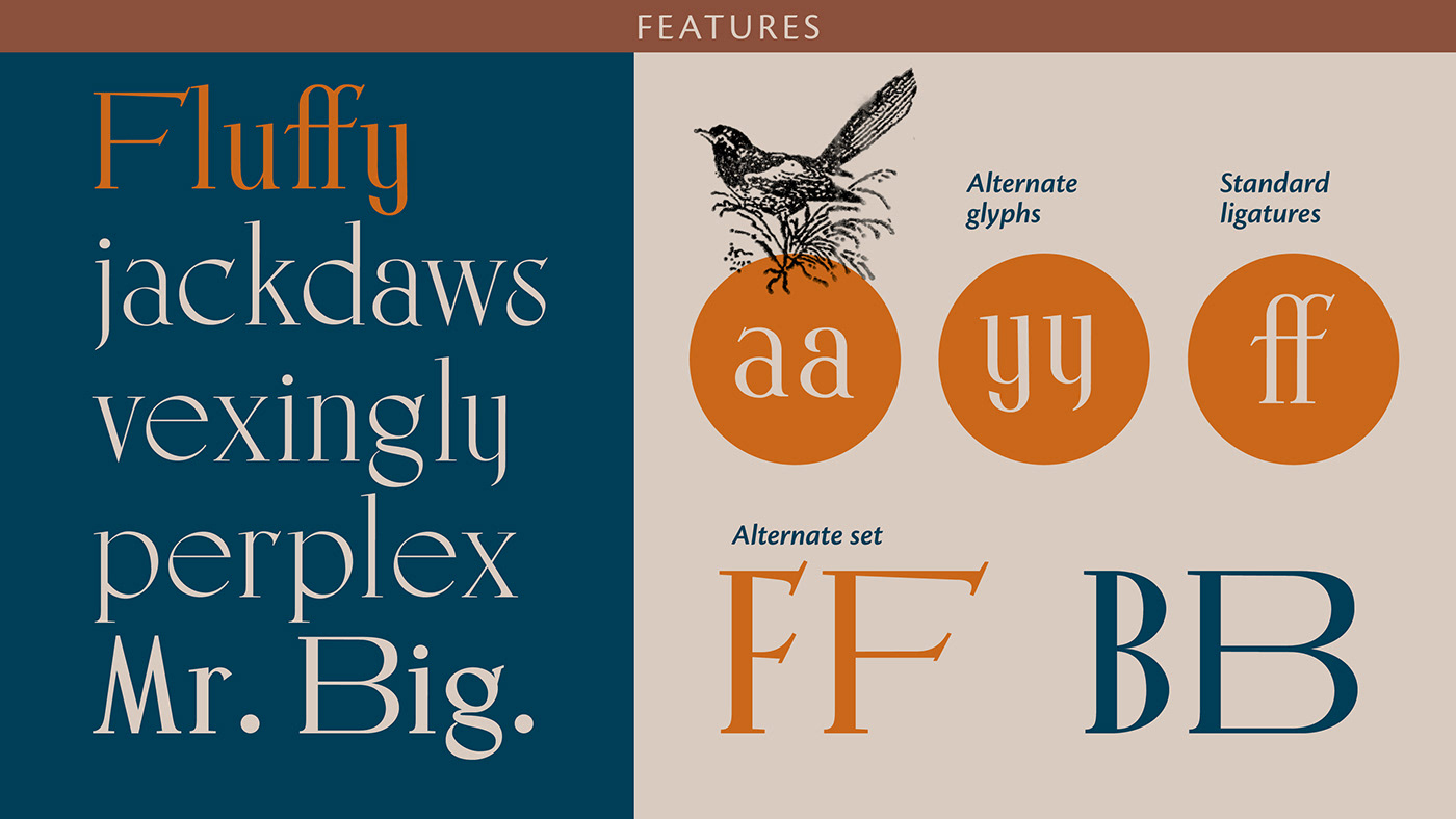 Typeface typeface design display font serif font modern Logotype brand identity serif typeface  font design