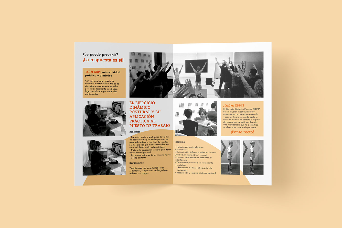 brochure catalogo Catalogue diptico Diseño editorial editorial design  Layout