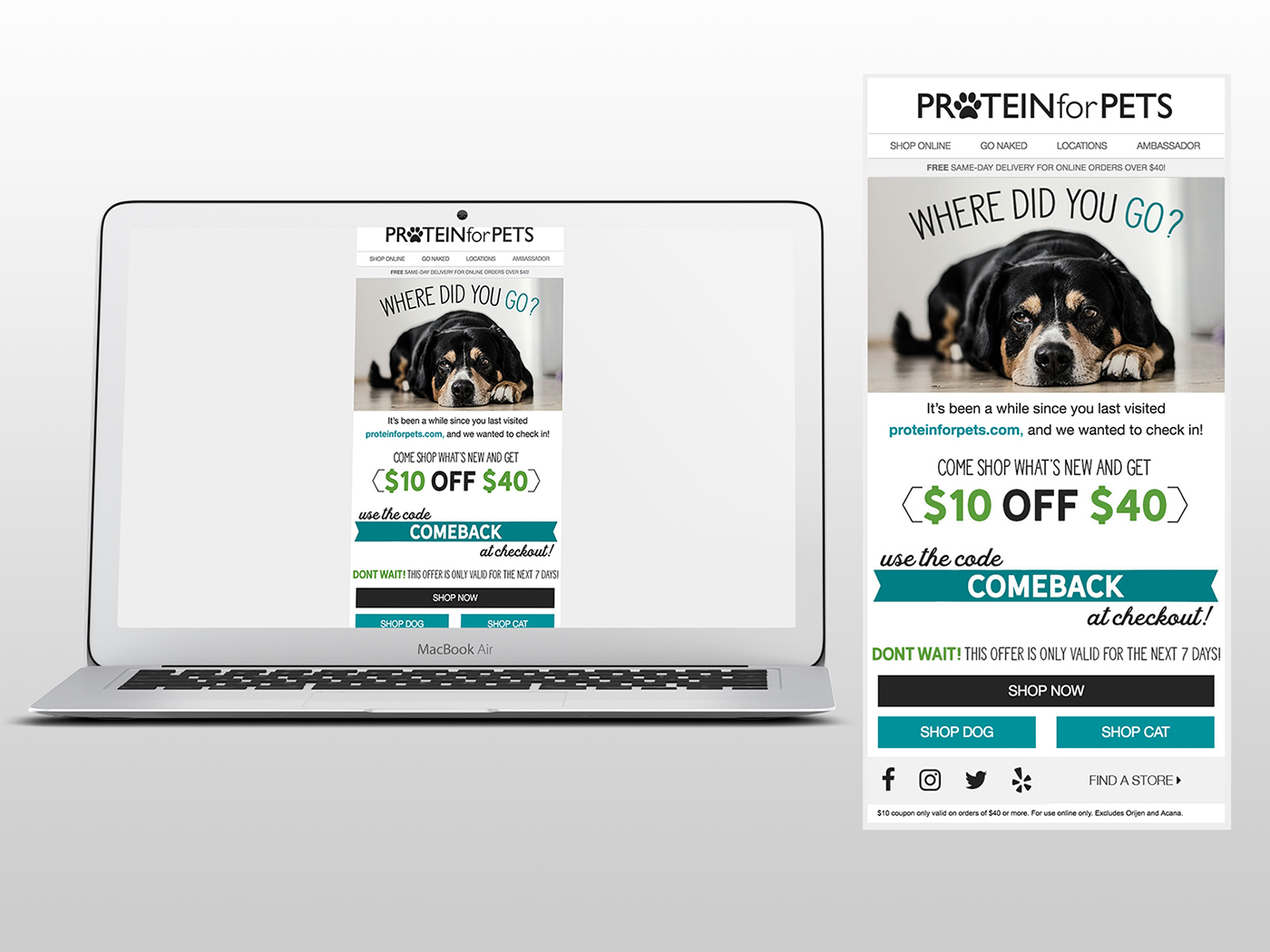 email marketing Email newsletters pets