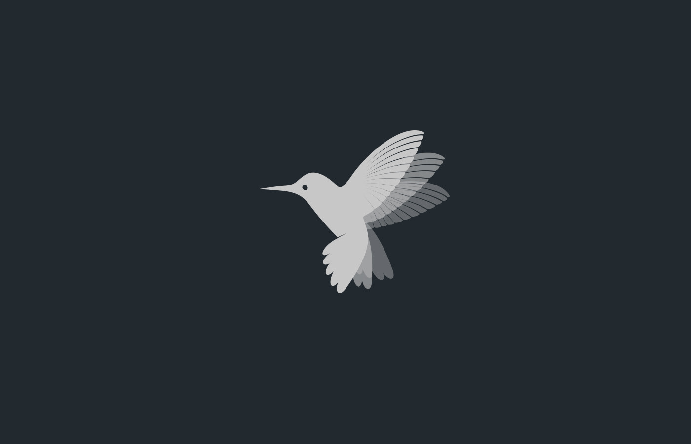 bird brand graphics identity ILLUSTRATION  logo mark minimal samadaraginige simple