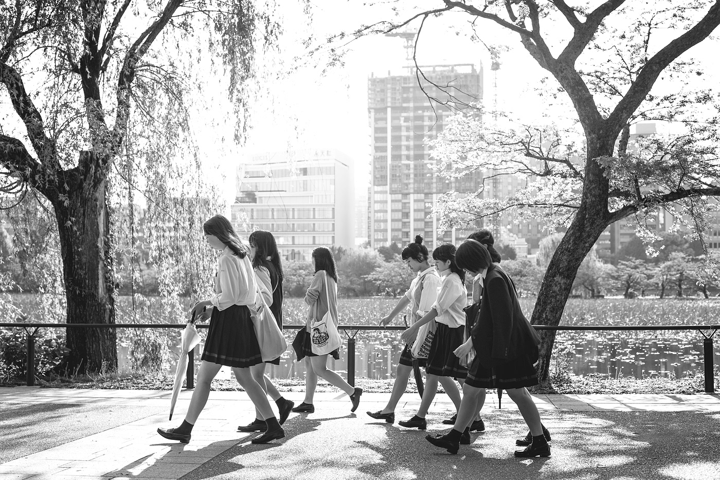 japan Massimo Colonna travel photography minimal kyoto tokyo street photography Nature city
