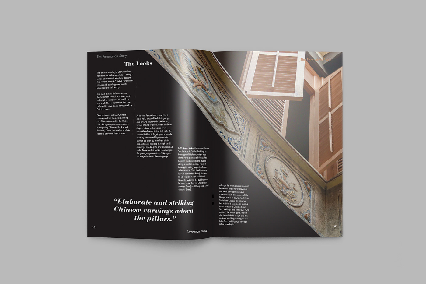 magazine Photography  publication typography  