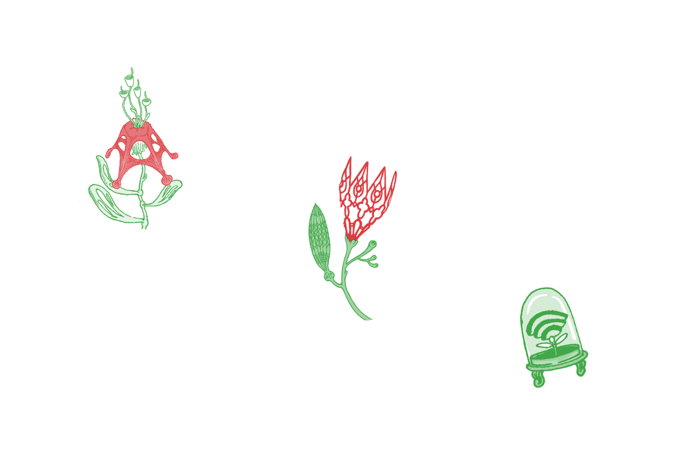 art artist ArtMap botanist ILLUSTRATION  map Riso saigon sketch Plant