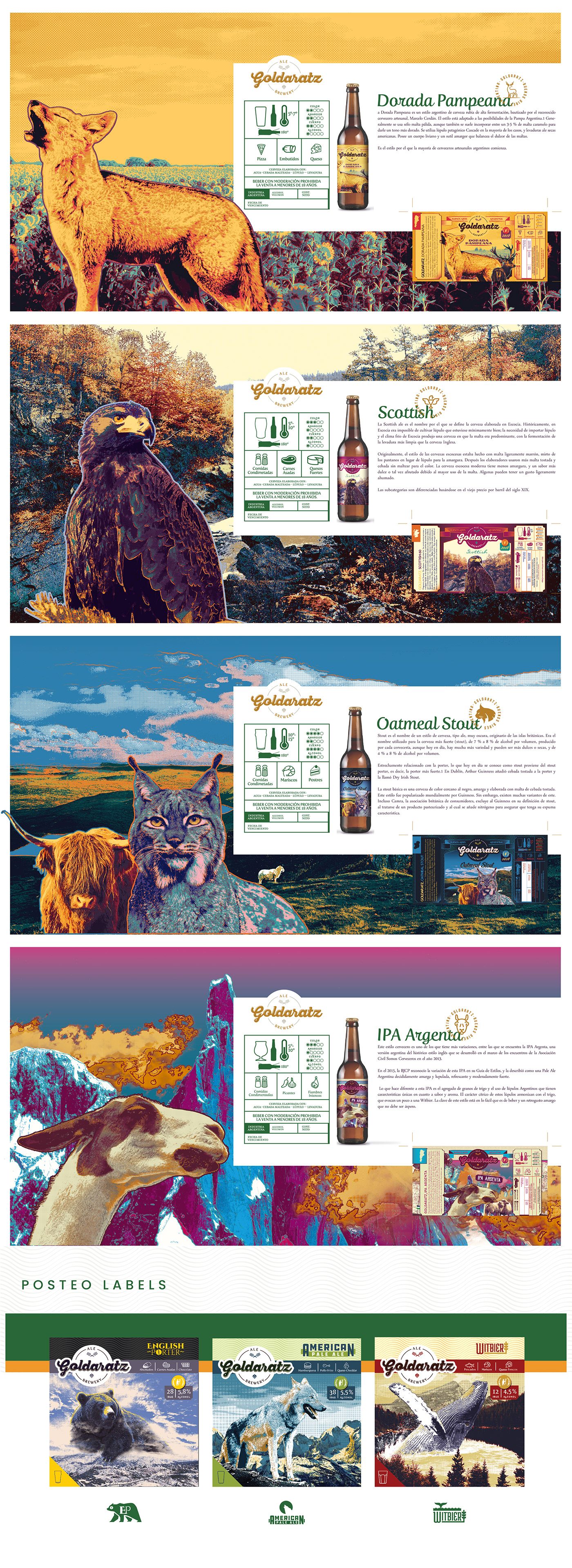 beer branding  brochure graphic design  ILLUSTRATION  indetity labels Packaging taproom