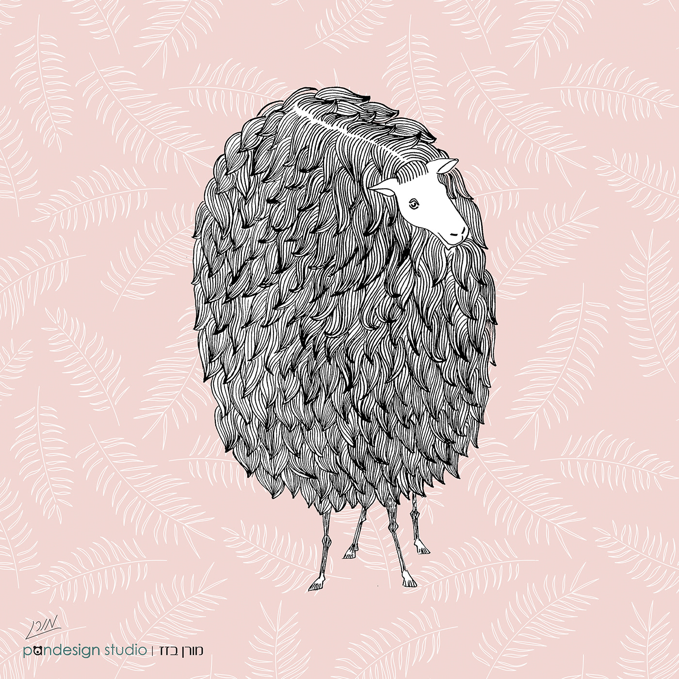 sheep ILLUSTRATION  lamb winter curly line art pandesign studio Moran Bazaz graphic design  print