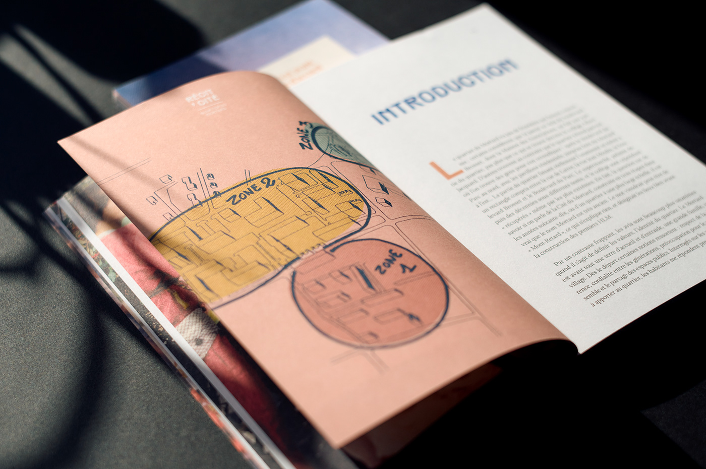 editorial Layout editorial design  print book print design  typography   Graphic Designer cover livre