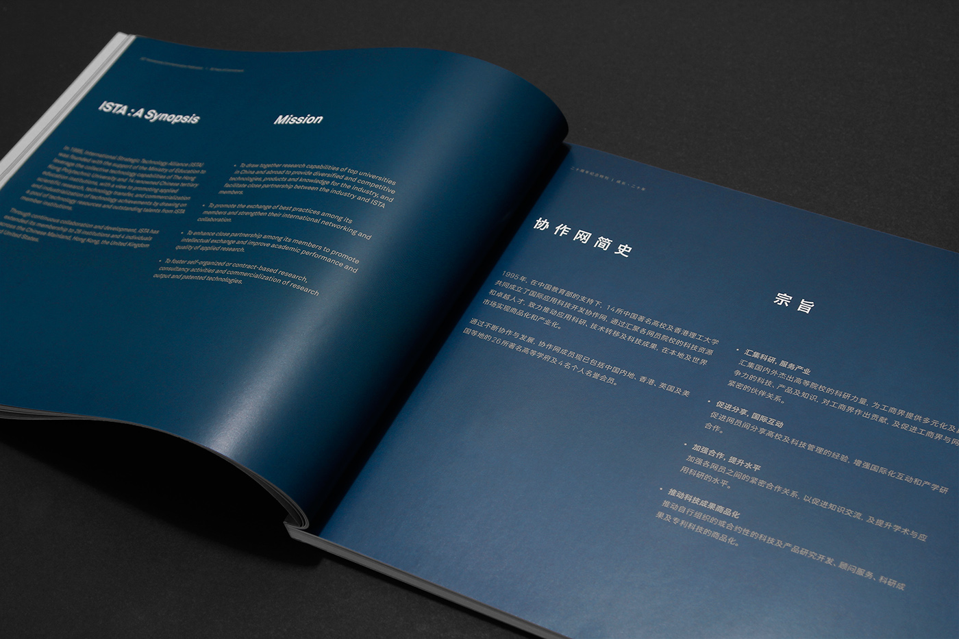 identity publication book anniversary gold graphic design  minimal editorial geometric hotstamp