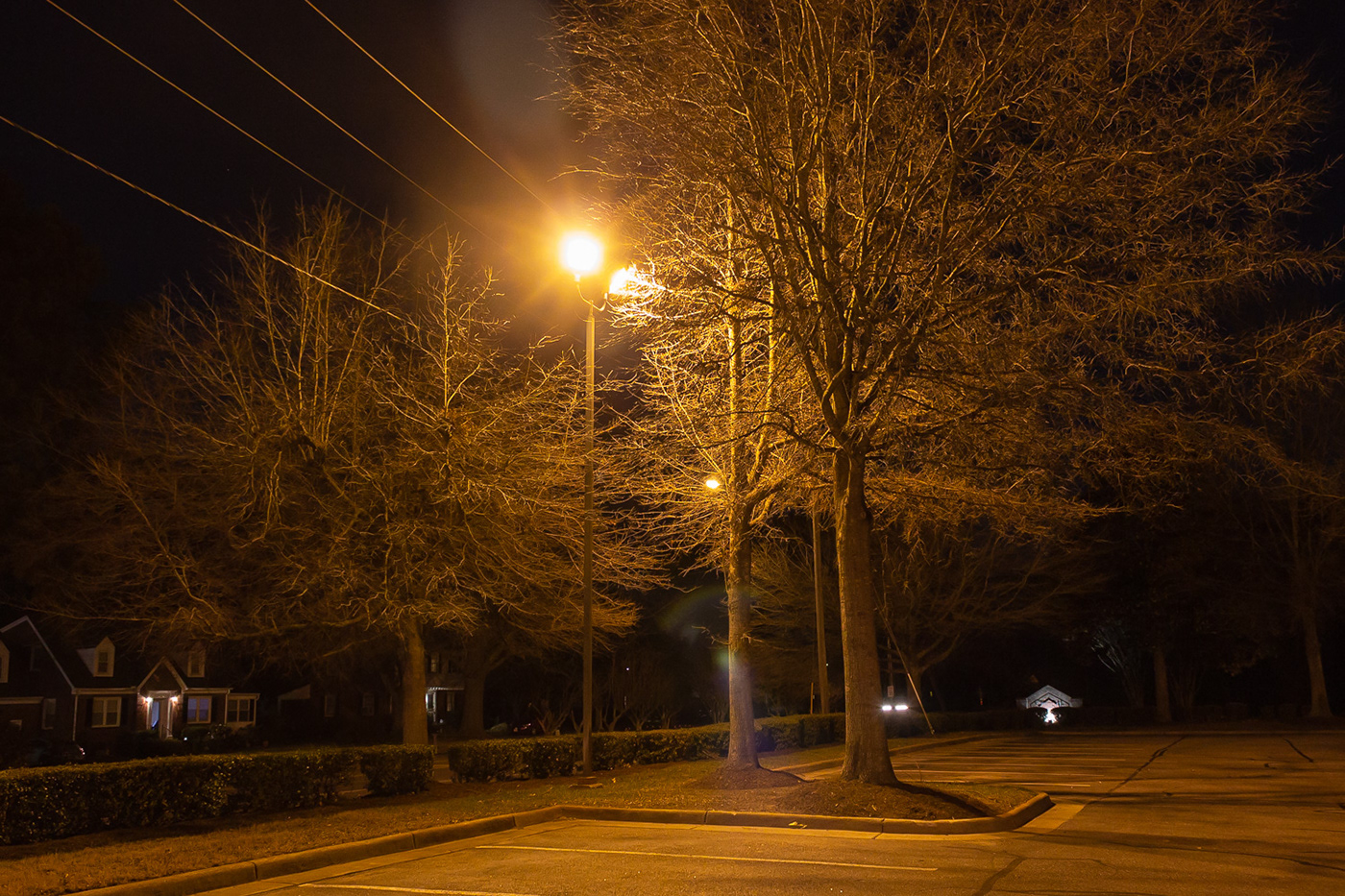 night lamppost guardians eyes light dark suburbia personification