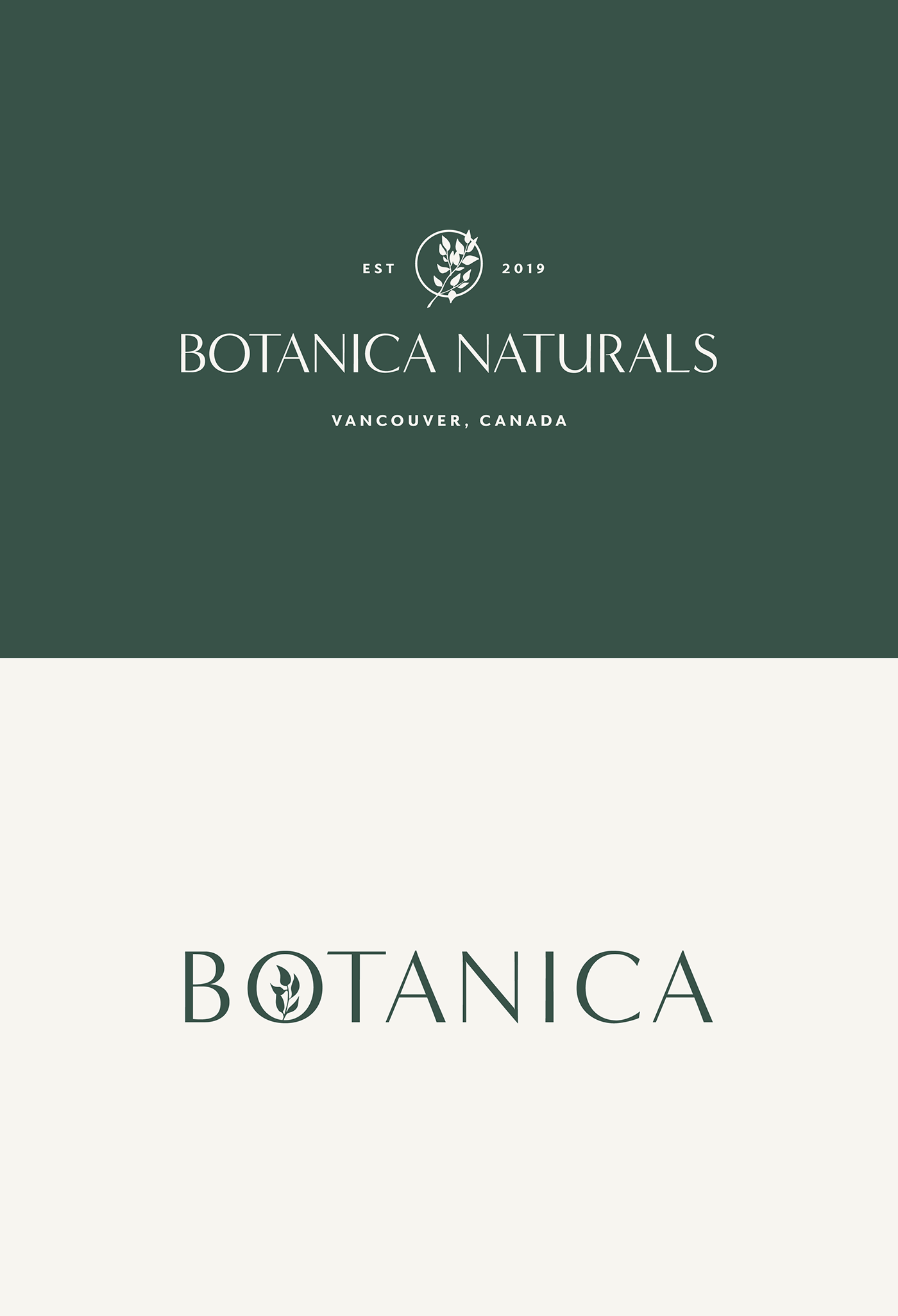 beauty botanical branding  identity ILLUSTRATION  logo natural Wellness