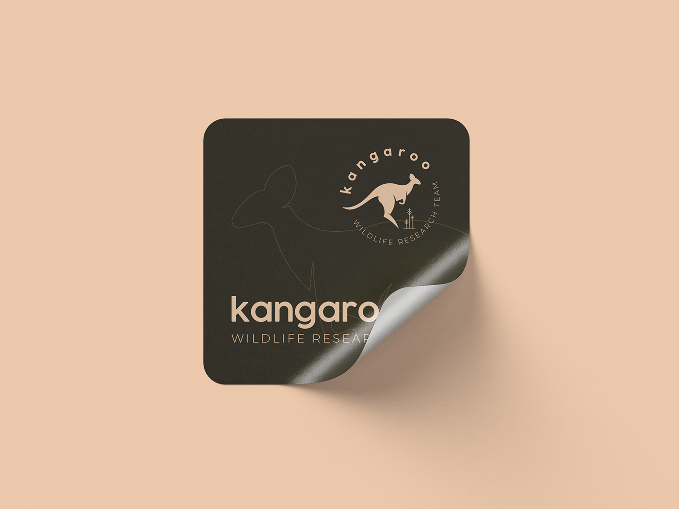 brand identity branding  visual identity kangaroo wildlife Australia