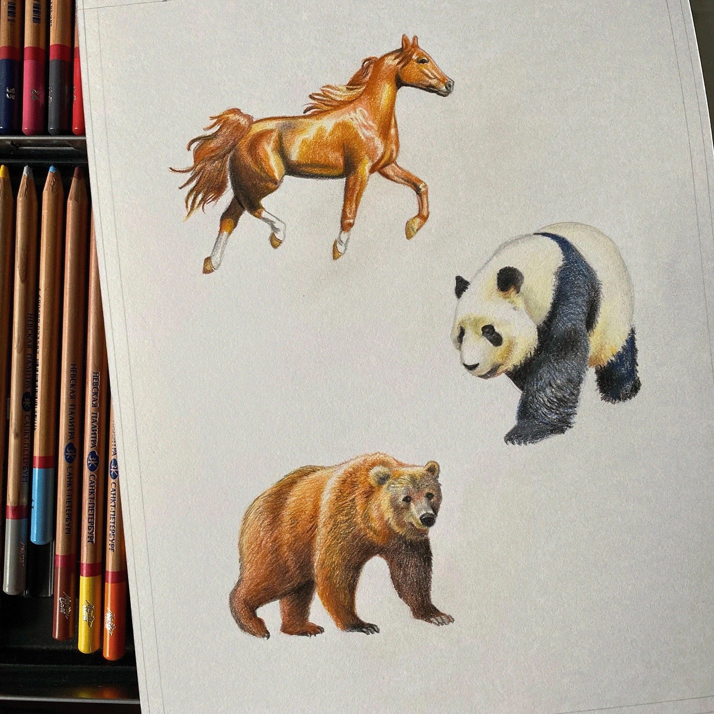 иллюстрация звери животные медведь Panda  лошадь slon Жираф lisa заяц еж
