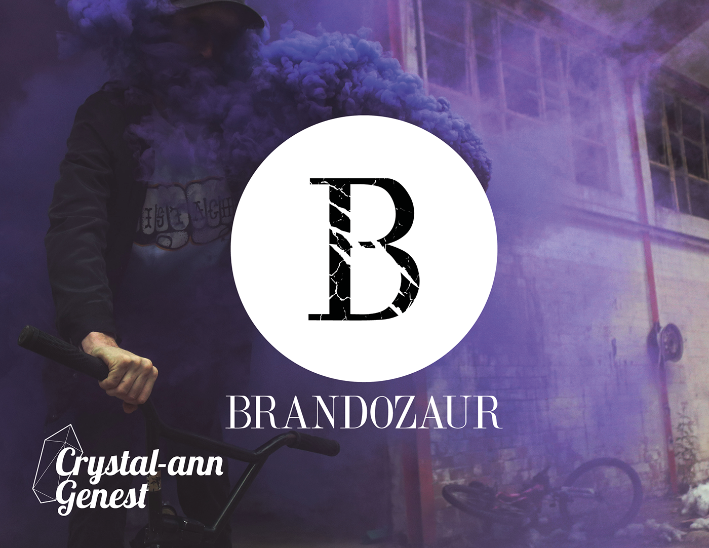 logo branding  new brandozaur