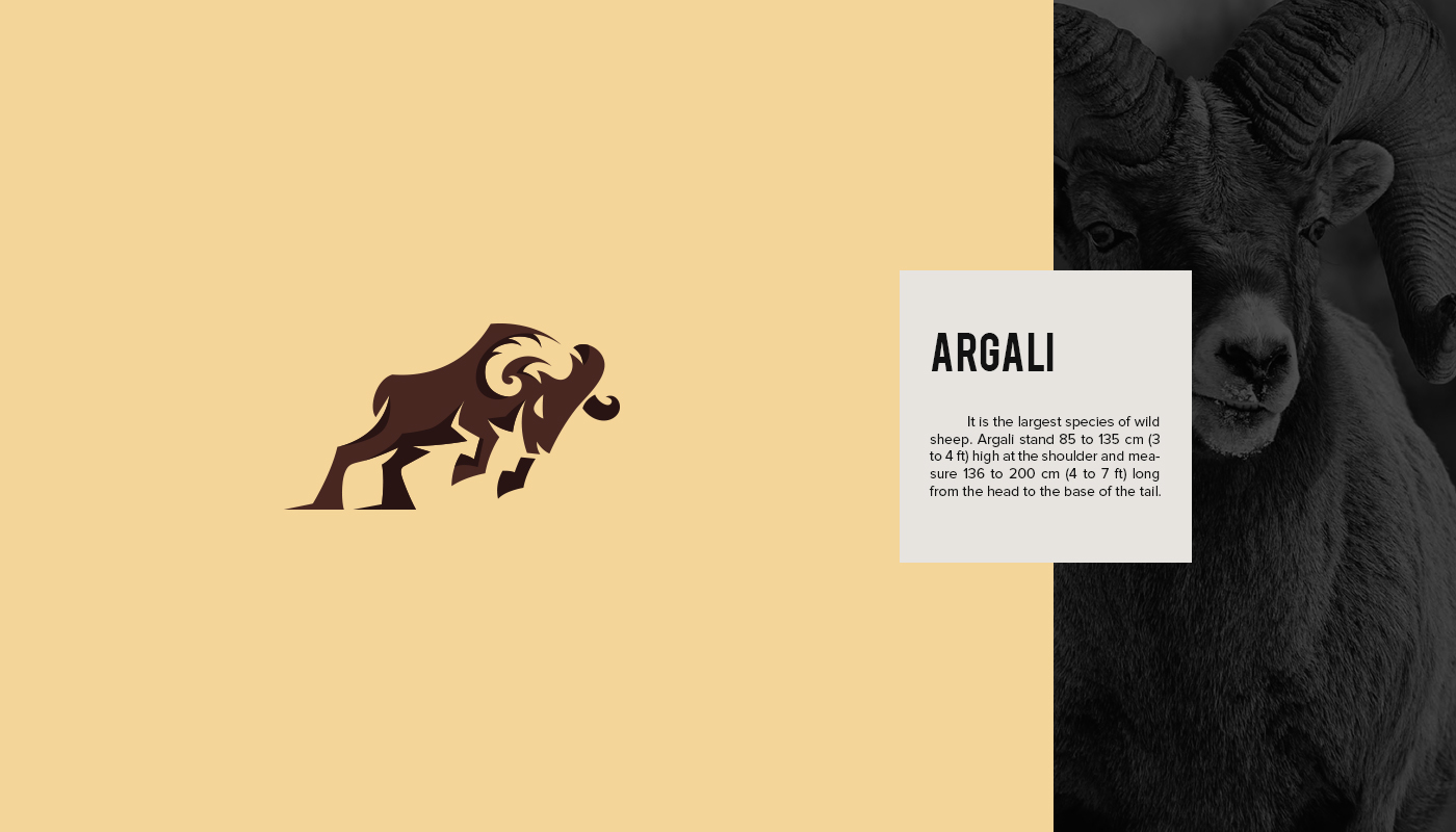 logo logos animals brand identity Vector Marks endangered bear tiger Whale gorilla