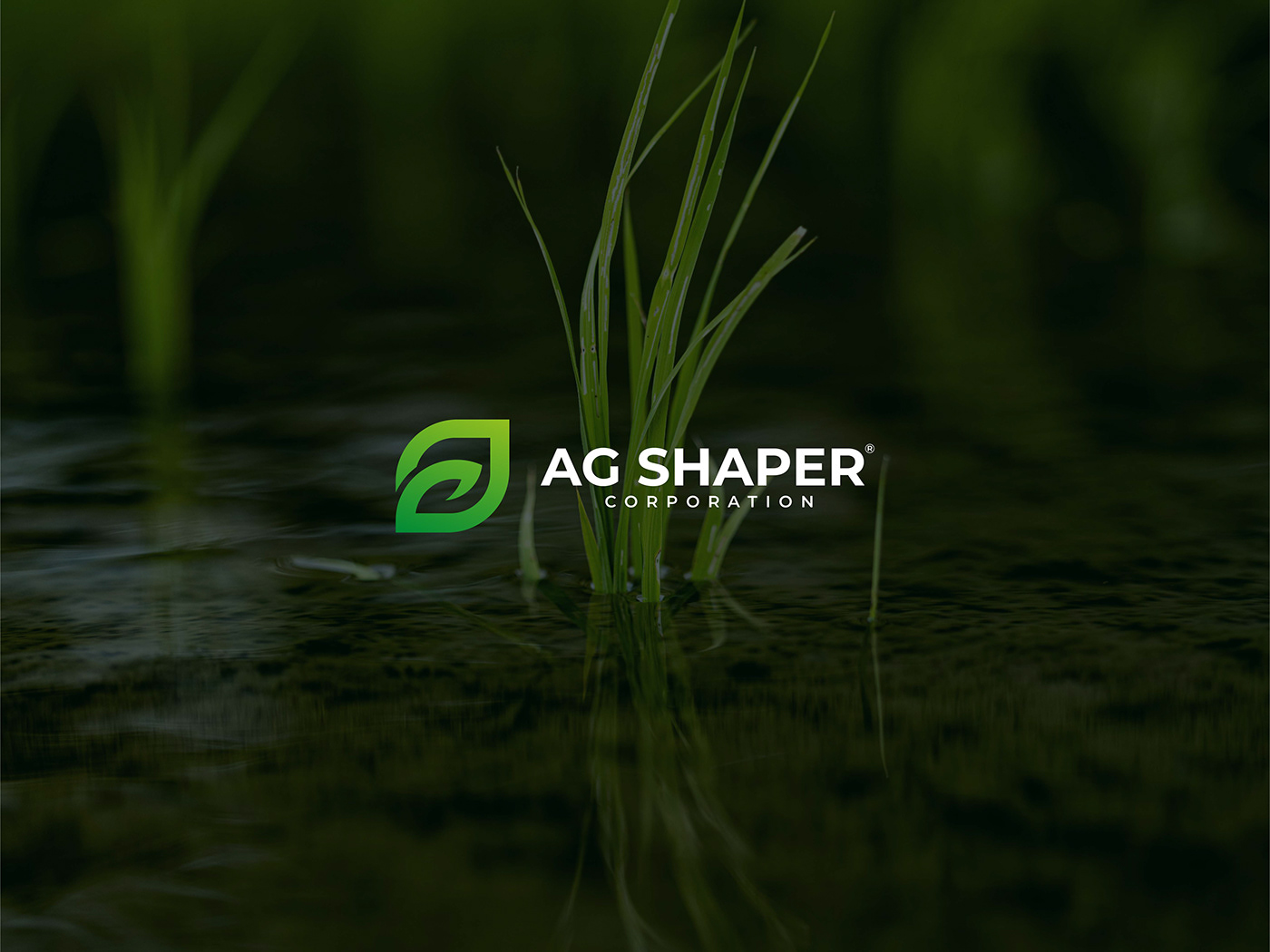 Advertising  Agricultural agriculture agriculture logo Brand Design brand identity Corporate Identity logo Logo Design marketing  