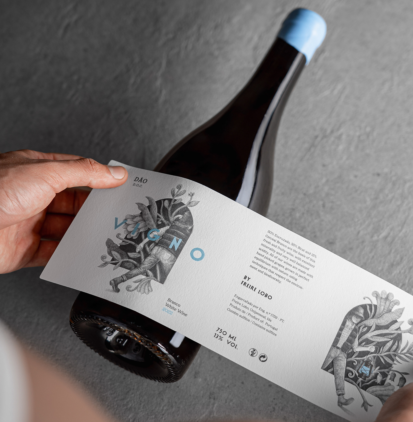 wine wine label design visual identity wine design Label brand identity Vigno