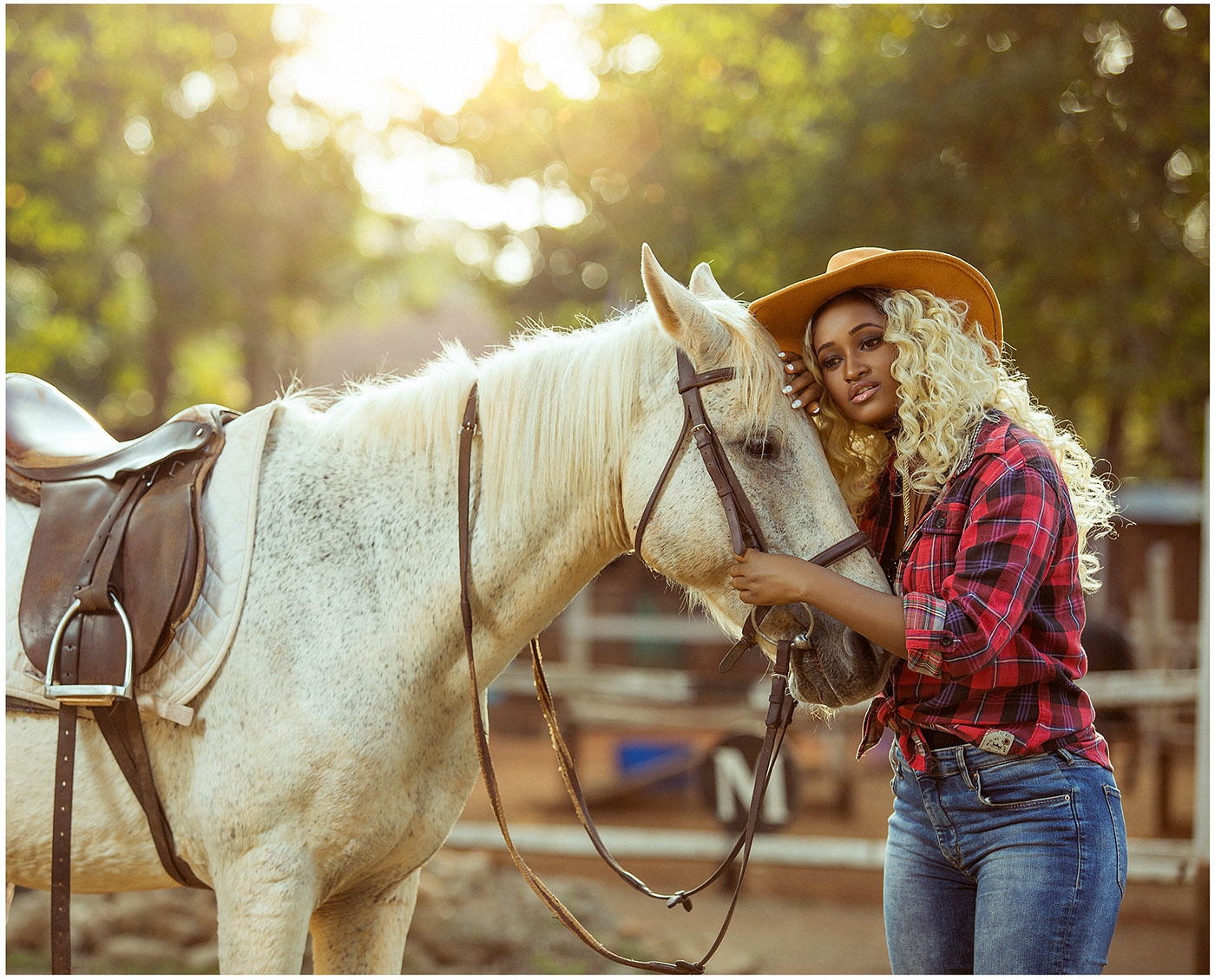 cowgirl horses