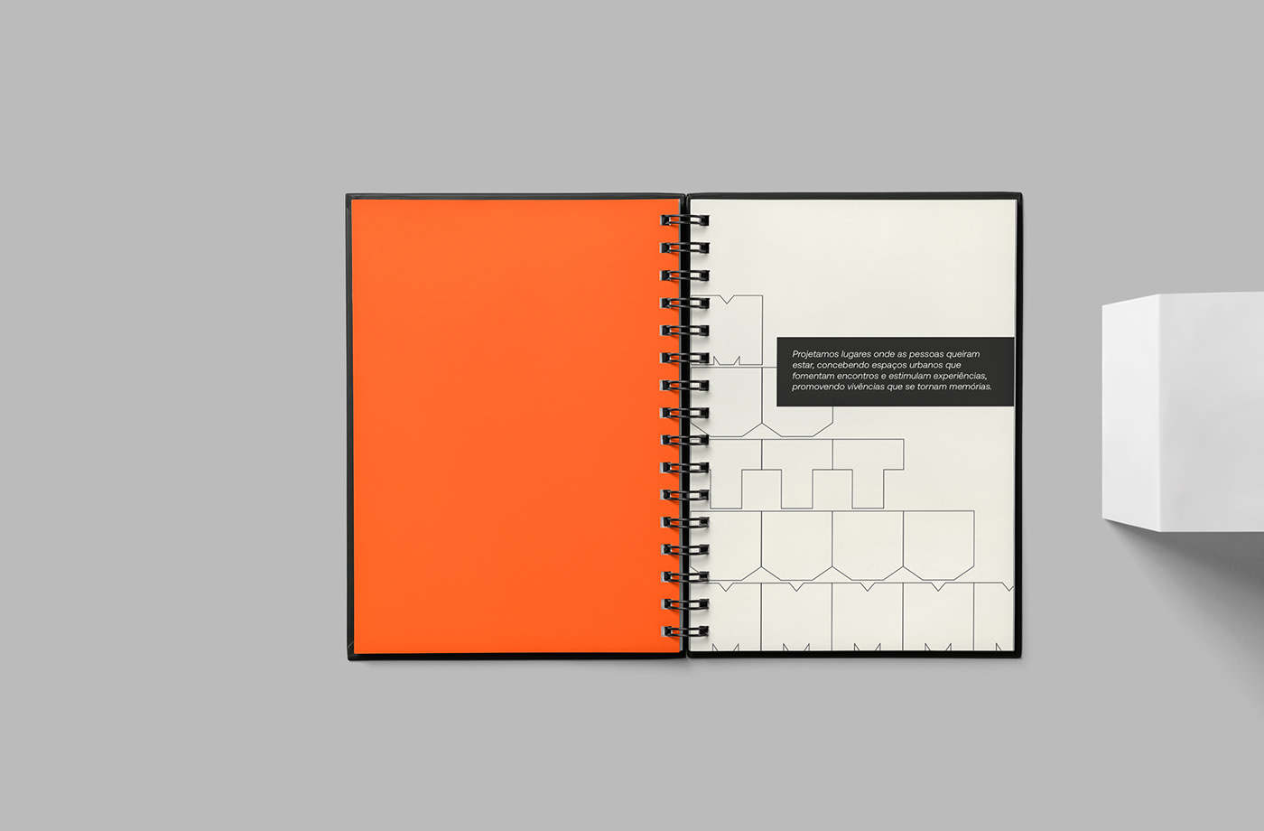 design design gráfico graphic design  Packaging