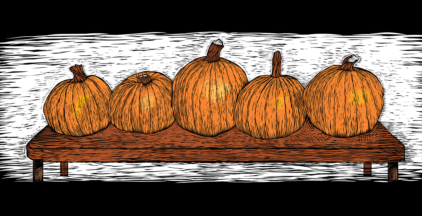 autumn Fall harvest pumpkins thanksgiving
