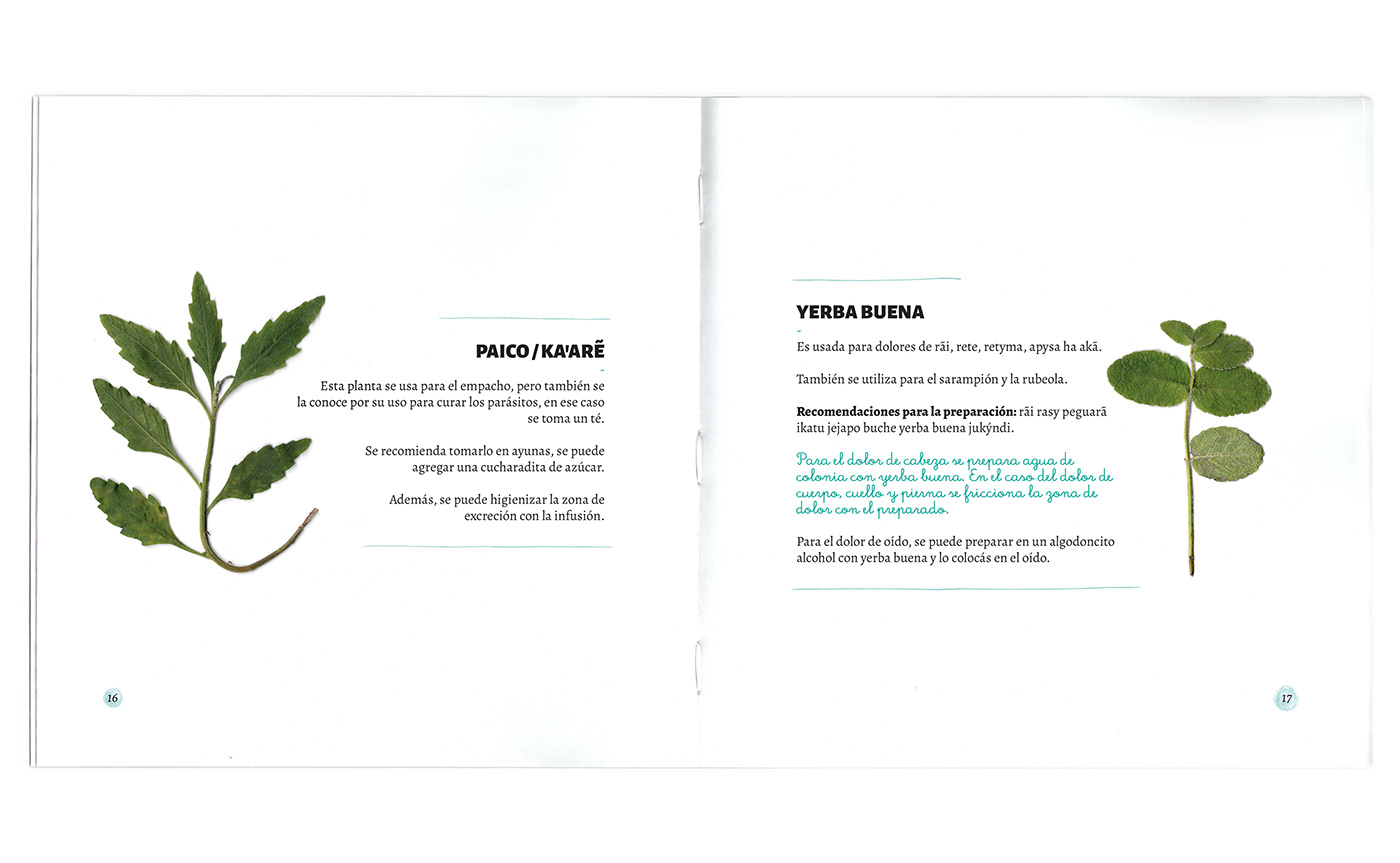 bilingue corrientes escáner español guarani hierbas libro material didáctico Medicinales plantas