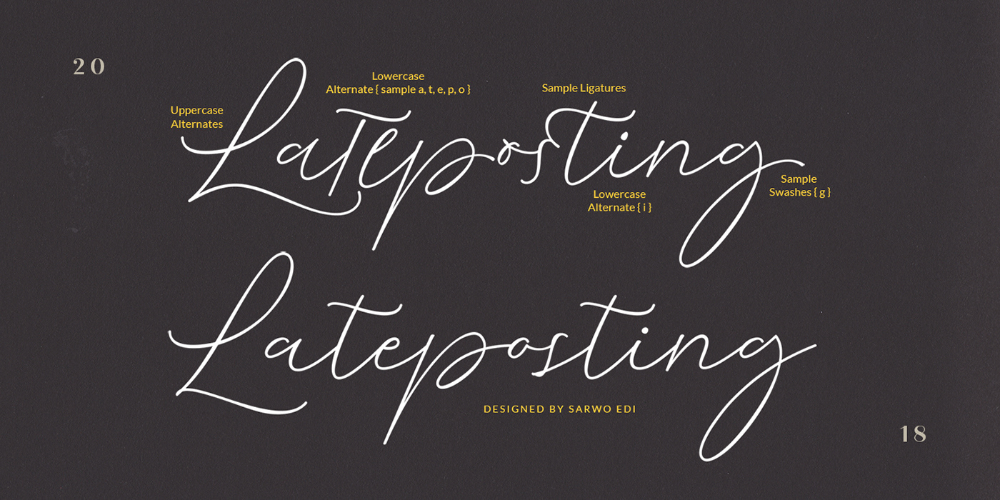 Cochocib Script fonts design wenfonts hotnewfonts MyFonts Calligraphy   modern websites saffatin