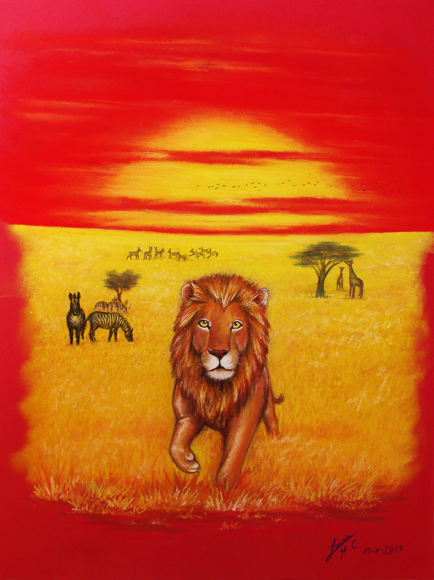 lauramc laura mc lion Leon lleo africa sabana pastel