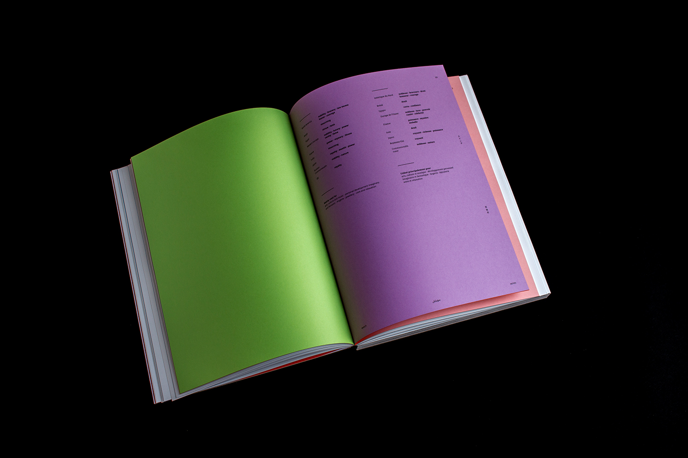 editorial art direction  book print Languages switch penninghen logos Brand Image graphic design 