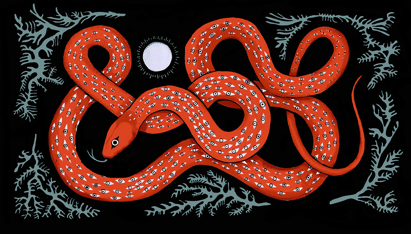 snake serpent reptile Drawing  czudżak Aleksandra Czudżak polska ilustracja snake illustration