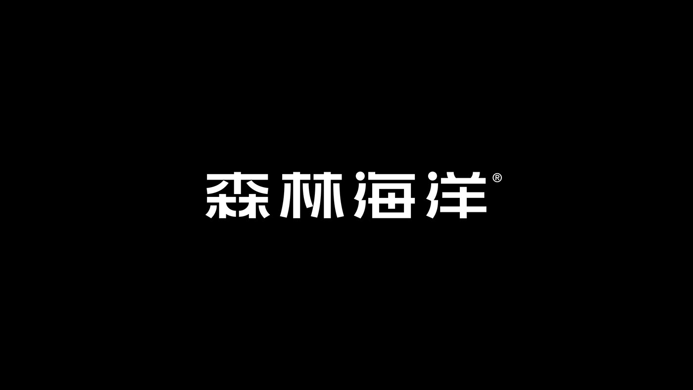 brand identity design logo Logo Design Logotype 中文字 品牌 字体 标志 汉字