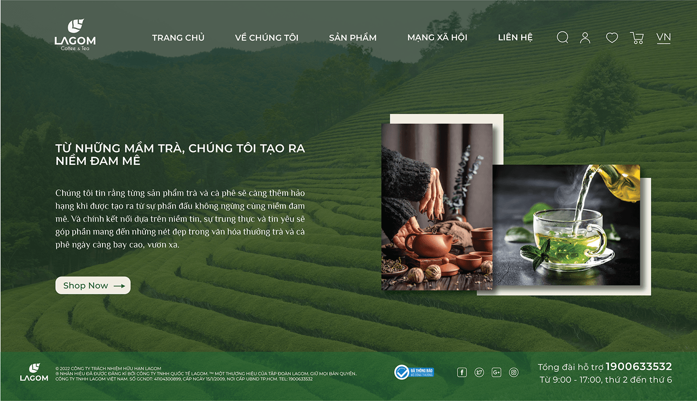 brand identity Advertising  Socialmedia ads tea leaves Health logo visual identity