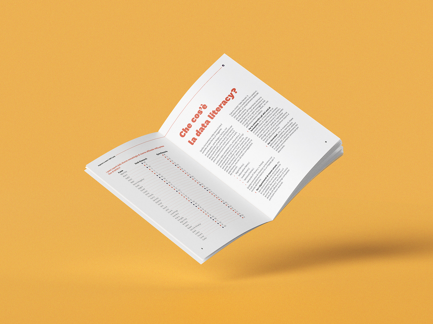 book Data editorial editorial design  InDesign Layout magazine report visualization